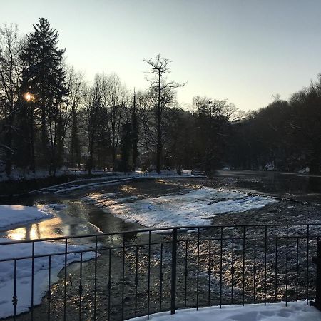 Appartamento Auf Der Zschopau-Insel Esterno foto