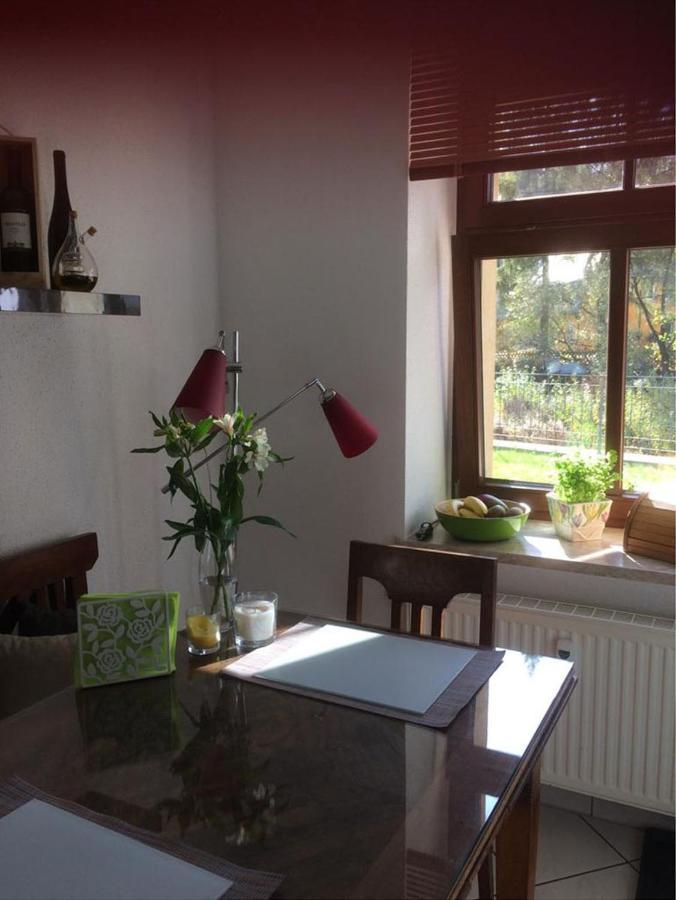 Appartamento Auf Der Zschopau-Insel Esterno foto