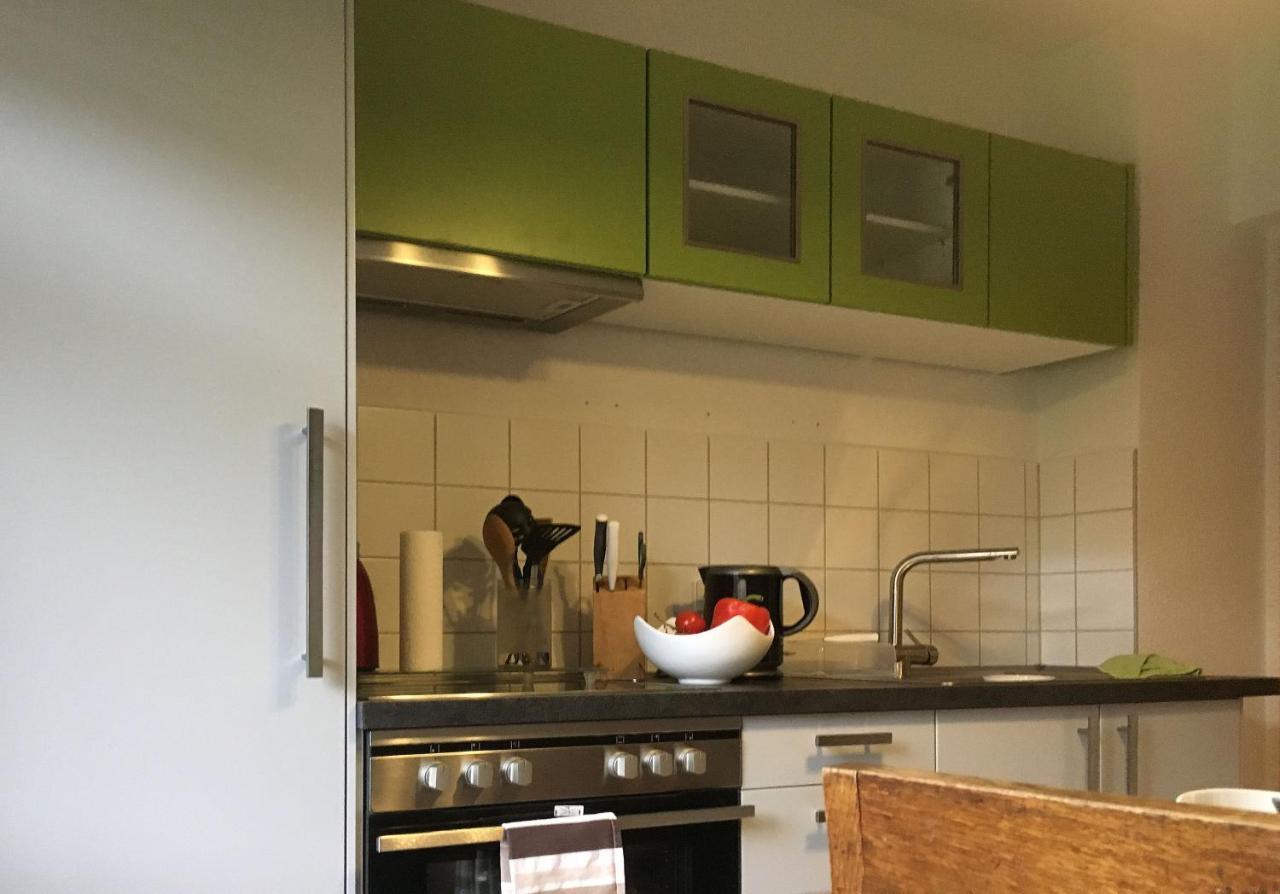 Appartamento Auf Der Zschopau-Insel Esterno foto