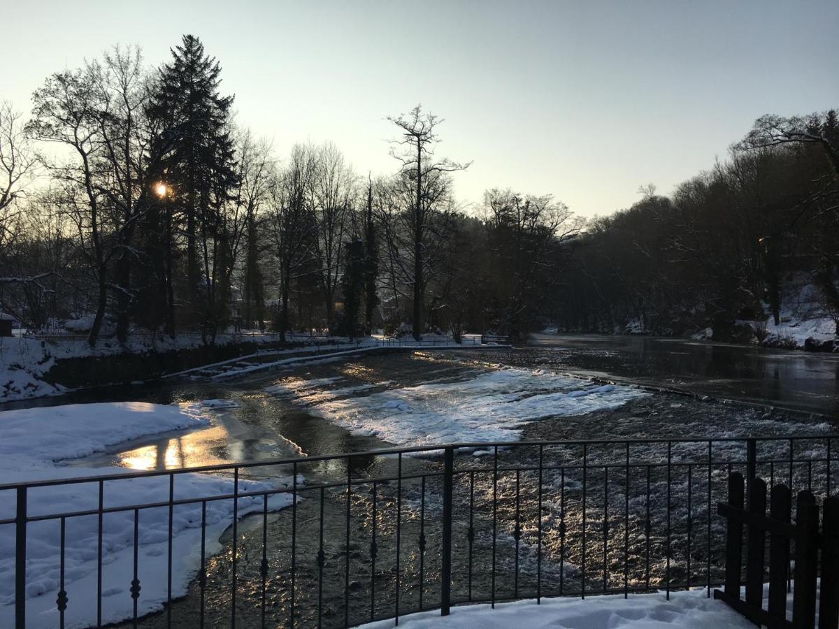 Appartamento Auf Der Zschopau-Insel Esterno foto